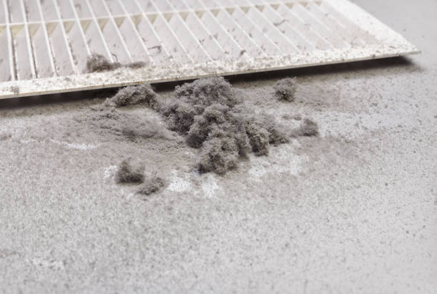 Best HVAC Air Duct Cleaning  in Lynwood, IL