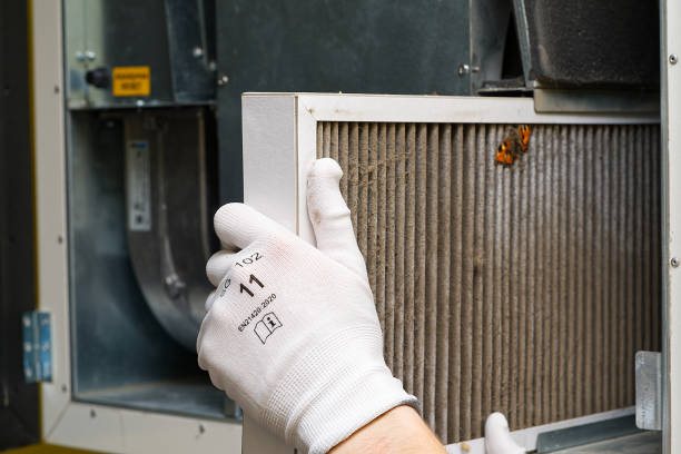 Best Local Air Duct Cleaning Services  in Lynwood, IL