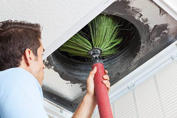 Best Air Duct Cleaning Company Near Me  in Lynwood, IL