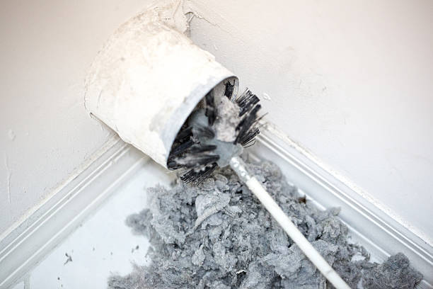 Best HVAC Duct Inspection Services  in Lynwood, IL
