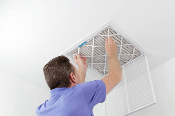 Best Emergency Air Duct Cleaning  in Lynwood, IL